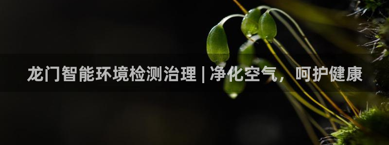 凯发网娱乐官网登录